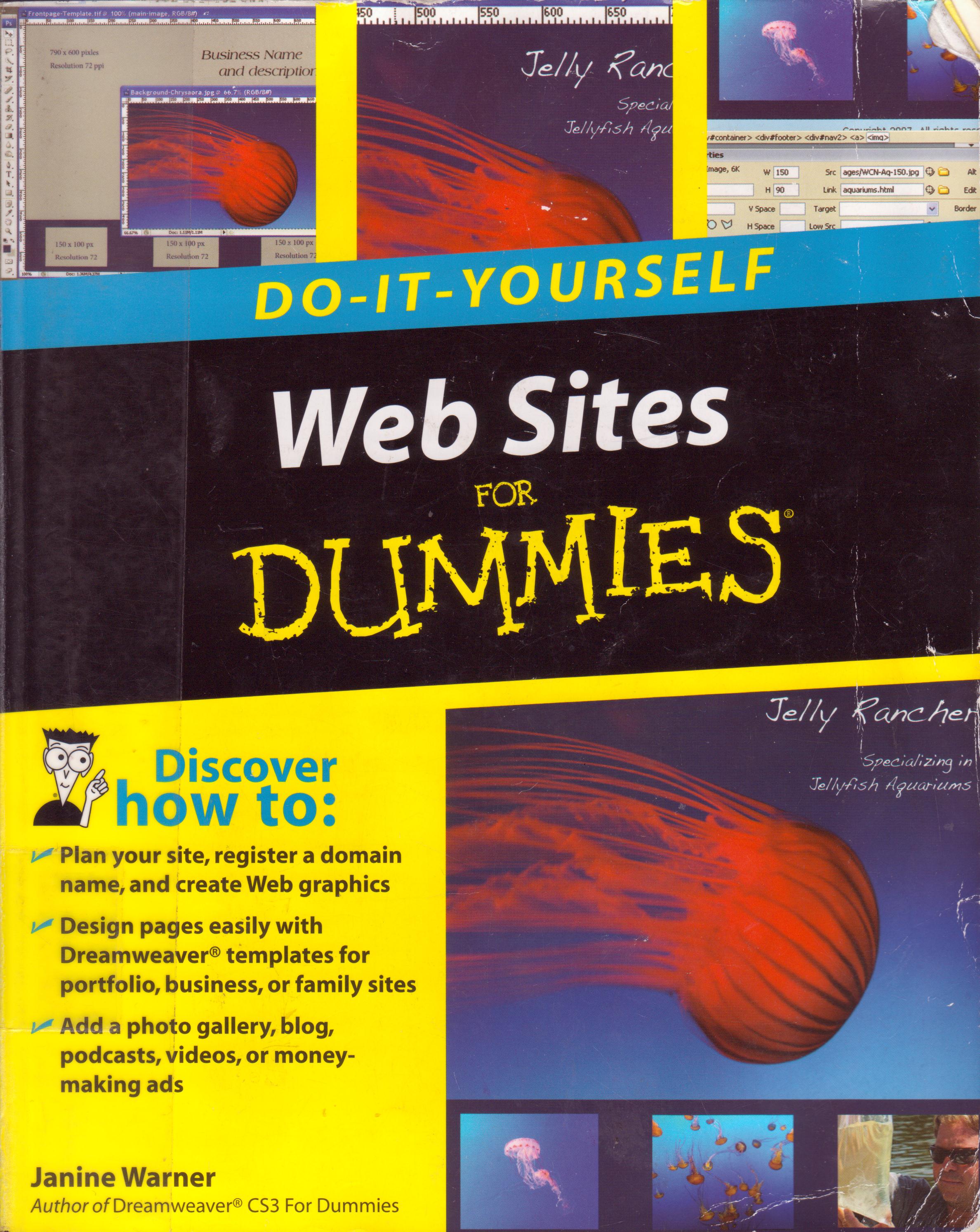 Do it yourself: Websites for DUMMIES